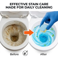 Tablettes effervescentes nettoyantes écologiques de haute qualité pour cuvettes de toilettes