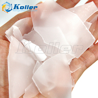 Machine à glace en flocons Koller KP50 5 tonnes/jour à refroidissement eau/air pour aliments, poisson, pain, viande pour l'Afrique