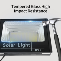 Lampe solaire extérieure 25w 40w 60w 100w 200w, étanche IP67, projecteurs LED avec panneau solaire/projecteur solaire extérieur