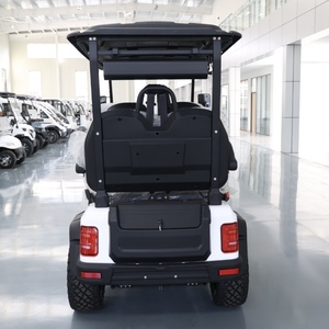 Your <strong>Second</strong> Pair of <strong>Hands</strong> on the <strong>Golf</strong> Course, 26 Years of Customized <strong>Golf</strong> <strong>Carts</strong> with Functional Design. - Product Image 5