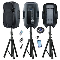 Sistema de PA Portátil de 1000W con Altavoz de 12 Pulgadas, Equipo de Karaoke, Caja de Sonido para Fiestas - BT/USB/FM/Control Remoto/Soporte/Bocina/Parlante