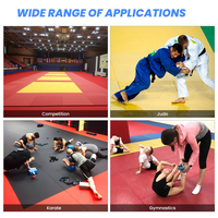 Tapis de judo LINYIQUEEN Premium, absorption des chocs, 2m*1m, personnalisable en fonction du lieu, lavable et imperméable, pour judo et boxe