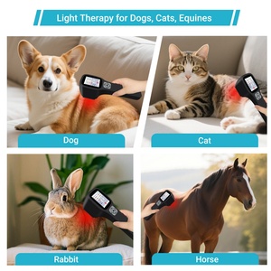 Équipement médical vétérinaire ZJZK, laser thérapeutique vétérinaire de classe 4, robotique <span class=keywords><strong>pour</strong></span> le traitement des <span class=keywords><strong>chevaux</strong></span> - Product Image 2