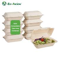 Pratique pour le déjeuner, boîte à repas en bagasse de canne à sucre, boîte à fruits en forme de coquille, boîtes en bagasse de canne à sucre pour fruits