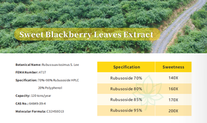 Экстракт сладких листьев ежевики, экстракт листьев ежевики, Порошок, Экстракт сладкого чая - Product Image 4