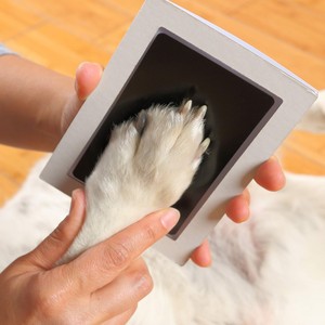 Pet Souvenir Memorial Gift No Touch Skin Pet Paw Print Kit Safe Non-toxic Inkless Easy DIY Clean Touch Baby Footprint Pads
