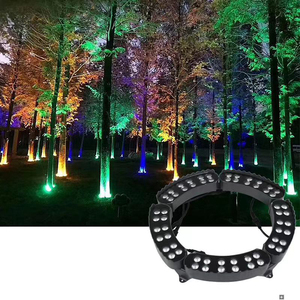 Werksseitig Angepasste Moderne Outdoor-Deko Ringbaumleuchte AC220V DC24V IP66 48W RGB Palmenringleuchten - Product Image 5