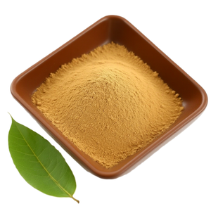 2:1 1:1 monkfruit lakanto Nâu nhà sư trái cây chất làm ngọt đường thay thế vàng Nhà Sư trái cây chất làm ngọt - Product Image 6