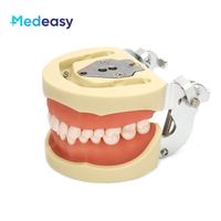 Modelo de Dientes para Estudiantes de Odontología, Simulación Médica, Encías Suaves, Silicona de Alta Calidad, PVC, 8x6.5cm, para Preparación