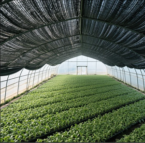 ตาข่ายกรองแสงสำหรับการ<span class=keywords><strong>เกษตร</strong></span> แบบถัก 8 เข็ม ป้องกันรังสียูวี ขนาดปรับแต่งได้ ผ้าคลุมโรงเรือนสำหรับผักและดอกไม้ - Product Image 4