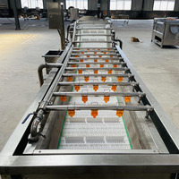Aanpasbare automatische groente- en fruitbellenwasmachine van 304 roestvrij staal voor voedselverwerkingsfabrieken