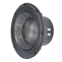Subwoofer de Gran Potencia de Fábrica OEM 10100-017, Subwoofer Profesional de 10 Pulgadas para Sistemas de Audio Line Array, Iluminación y Video