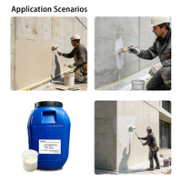 Peinture de réparation silicone-acrylique Xystone M001 pour béton architectural apparent, origine CN