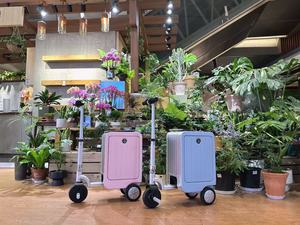 Fengjiu đẹp kẹo màu thông minh hành lý boardable hành lý điện với mật khẩu khóa - Product Image 4