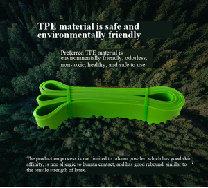 Bandes de Résistance Élastiques TPE Deep Fitness de Haute Qualité pour Entraînement de Force et Assistance aux Tractions - Product Image 2
