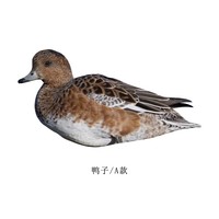 Décoy de canard sauvage réaliste en PP, pliable et portable, style champêtre, pour jardins résidentiels