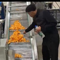 YZ Automatische productielijn voor aardappelchips en groente-/fruitchips met friteuse, capaciteit 100-200 kg/uur, snackmachine
