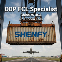 Agente de Carga Marítima DDP FCL de China a Estados Unidos, Servicio de Logística Profesional, Envío Internacional Rápido y Confiable