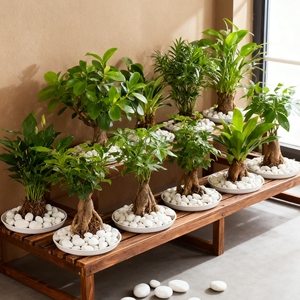 Đánh bóng trắng sông/Biển sỏi sỏi đá nhân tạo vườn lát đá cho bể cá cảnh quan nghiền đá sản phẩm - Product Image 2