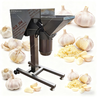Máquina Trituradora de Ajo de 500-800 kg/h, Máquina para Triturar Papas, Jengibre, Picadora de Chile, Máquina para Hacer Pasta de Tomate, Picadora de Cebolla