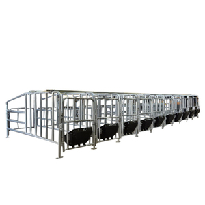 Establo <span class=keywords><strong>de</strong></span> gestación galvanizado para cerdas, establo <span class=keywords><strong>de</strong></span> parideras y engorde con corral <span class=keywords><strong>de</strong></span> cría y comedero, usado para granjas. - Product Image 6