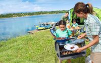 Barbecue de camping portable moderne pour jardin et pique-nique, en acier inoxydable, 3 brûleurs, pour 3 à 5 personnes, avec allumage piézoélectrique, pliable