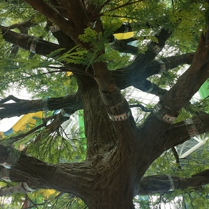 Plante artificielle la plus réaliste en fibre de verre décorative intérieure/extérieure, cyprès et pin - Product Image 5