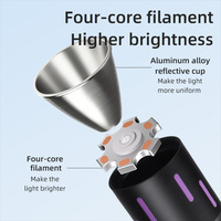 Lampe torche UV professionnelle 365 nm avec filtre noir, lampe de Wood pour la détection d'urine, la chasse aux scorpions, la recherche de minéraux et la vérification des billets