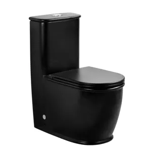 आधुनिक शैली का फर्श घुड़सवार रंग वॉशडाउन रिम्लेस एक टुकड़ा शौचालय मैट काले शौचालय