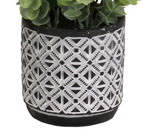 Semen jenis rumput tanaman pot plastik daun uang 30cm H dengan daun uang untuk DALAM ATAU luar ruangan - Product Image 2