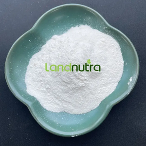 Натуральная <span class=keywords><strong>100</strong></span>% пила Landnutra, экстракт пальметто, цена, пищевая пила, порошок экстракта Пальметто - Product Image 3