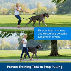 2024, superventas, líder suave, sin tirones, collar para la cabeza de perro, accesorios de entrenamiento para perros, correa para Collar de perro sin tirones para caminar fácilmente - Product Image 5