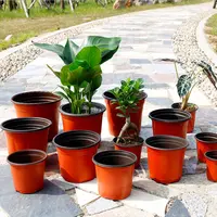Aisimi suculentas para jardim, suprimentos para jardim doméstico, tamanhos múltiplos, plantador de vasos de flores de plástico durável