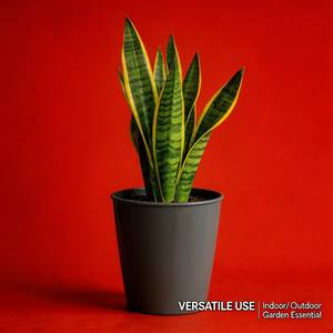 Macetas y Jardineras de Cerámica Pequeñas y Duraderas, Ecológicas, Harvit HYFP-03, Macetas de Cerámica Antiguas Grises para Interiores/Exteriores - Product Image 2