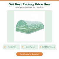 Serre commerciale écologique à structure en acier galvanisé 800x400x230cm avec film PE imperméable 140g pour une culture facile des légumes