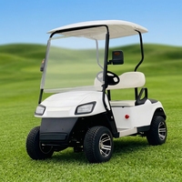 Voiturette de golf électrique mini Tarion à prix réduit, 2 places, batterie 60V sans entretien, couleur personnalisée, châssis léger en acier