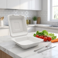 Boîte à lunch compostable Oasis CT3 1200ml en bagasse de papier, écologique, jetable, étanche et résistante à la graisse, 8 pouces