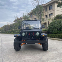 Mini Jeep 4x4 à essence Donwin, best-seller, puissant, 200cc, 4 roues, buggy pour passagers, 2/4 places, classique, tout-terrain, extérieur