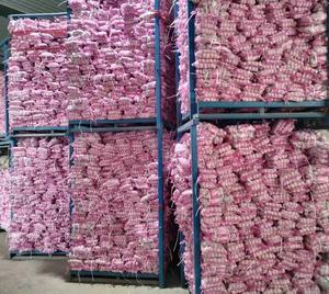 卸売バルク新鮮な白ニンニク 生ニンニク卸売価格 専門サプライヤー アホ 新鮮ニンニク 中国工場 - Product Image 5