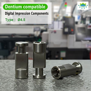 Dentium Armatuur Lab Analoog Voor Tandheelkundige Implantaat Abutment Productie Oem Odm Custom Service Compatibel Met Koreaanse Europese Systeem - Product Image 6