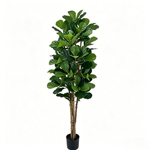 Wholesale prices for Ficus pandurata with real wooden poles. Direct from the factory. Durable and evergreen - Product Image 1