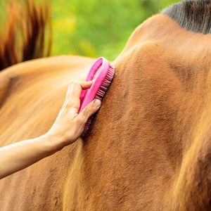 Kit de Cepillado para Caballos Intrepid International Magic Horse con Cepillos Personalizados de 45g en Rosa Oscuro - Product Image 6