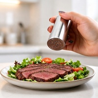 Ensemble de pots à épices portables en acier inoxydable pour cuisine, camping et extérieur, avec salière et pot à sucre