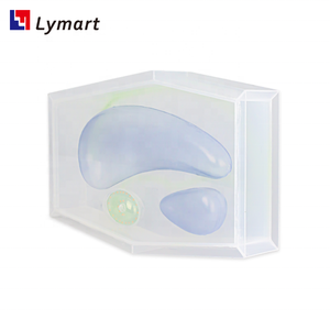 Modelo de estructura de células vegetales para equipos educativos de enseñanza de Biología - Product Image 5