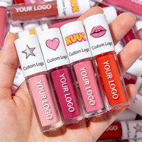 Gloss à lèvres vegan à faible MOQ, changeant de couleur, repulpant, transparent, rose clair, nude, gloss à lèvres en marque privée