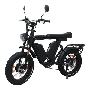 Vélo électrique GPS 48v 20AH 20 roues VTT électrique Fat Tire E Bike 1000W Vélo électrique hybride double moteur