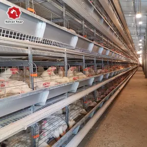 סין מפעל ייצור עופות שכבה ציוד H סוג סוללה עוף כלוב