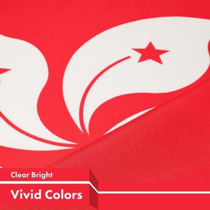 Suministro de fábrica personalizado Hong Kong 3X5 Ft impreso poliéster bandera Banner <span class=keywords><strong>Asia</strong></span> dormitorio hombre cueva asiática SAR - Product Image 5