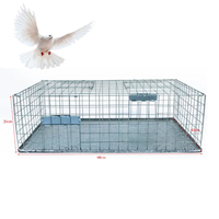 Piège à pigeons professionnel - Cage en fil métallique robuste pour attraper les oiseaux vivants avec porte automatique - pour toit/balcon