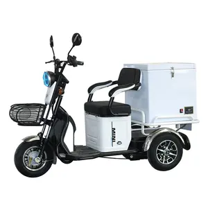 קפוא מזון תחבורה Trike מזון תלת אופן עם מקפיא חשמלי שלושה גלגל